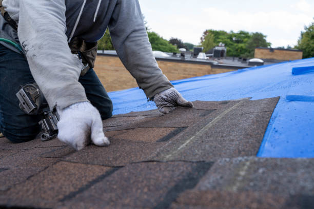 Best Roof Waterproofing Services  in Scott, LA