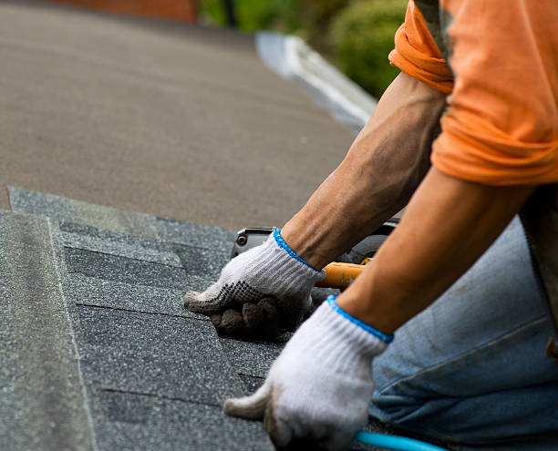 Best Shingle Roofing Installation  in Scott, LA